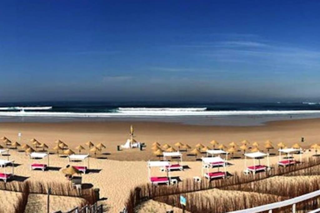 And Surf Lovers Costa da Caparica