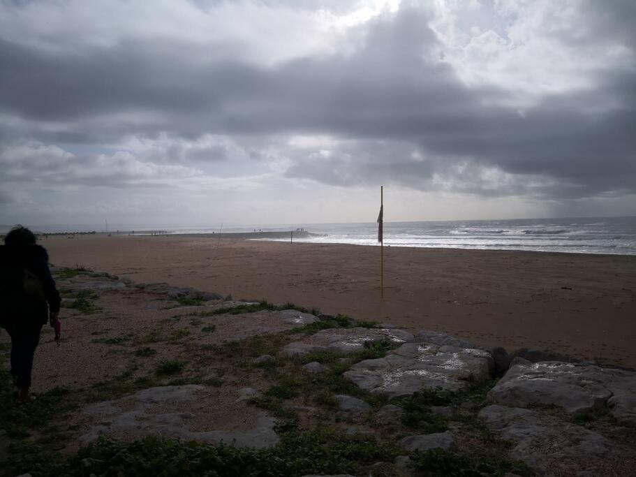 And Surf Lovers *